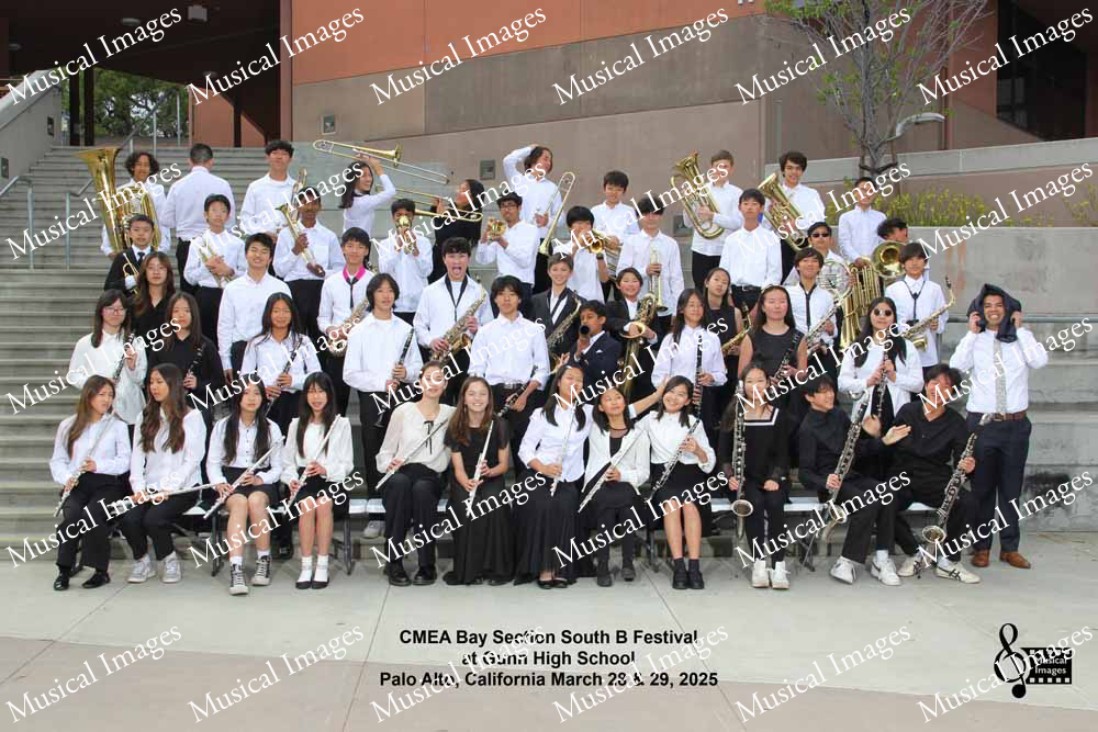 Musical Images
